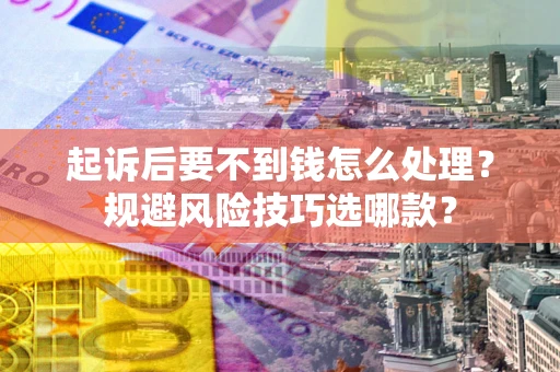 武汉起诉后要不到钱怎么处理？规避风险技巧选哪款？